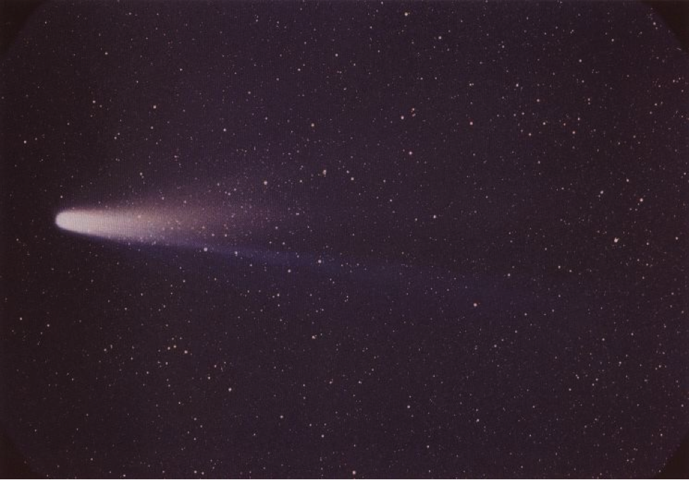 Halley’s Comet (1986). The dust trail and coma of Halley can reach over 100 km in length Credit: NASA