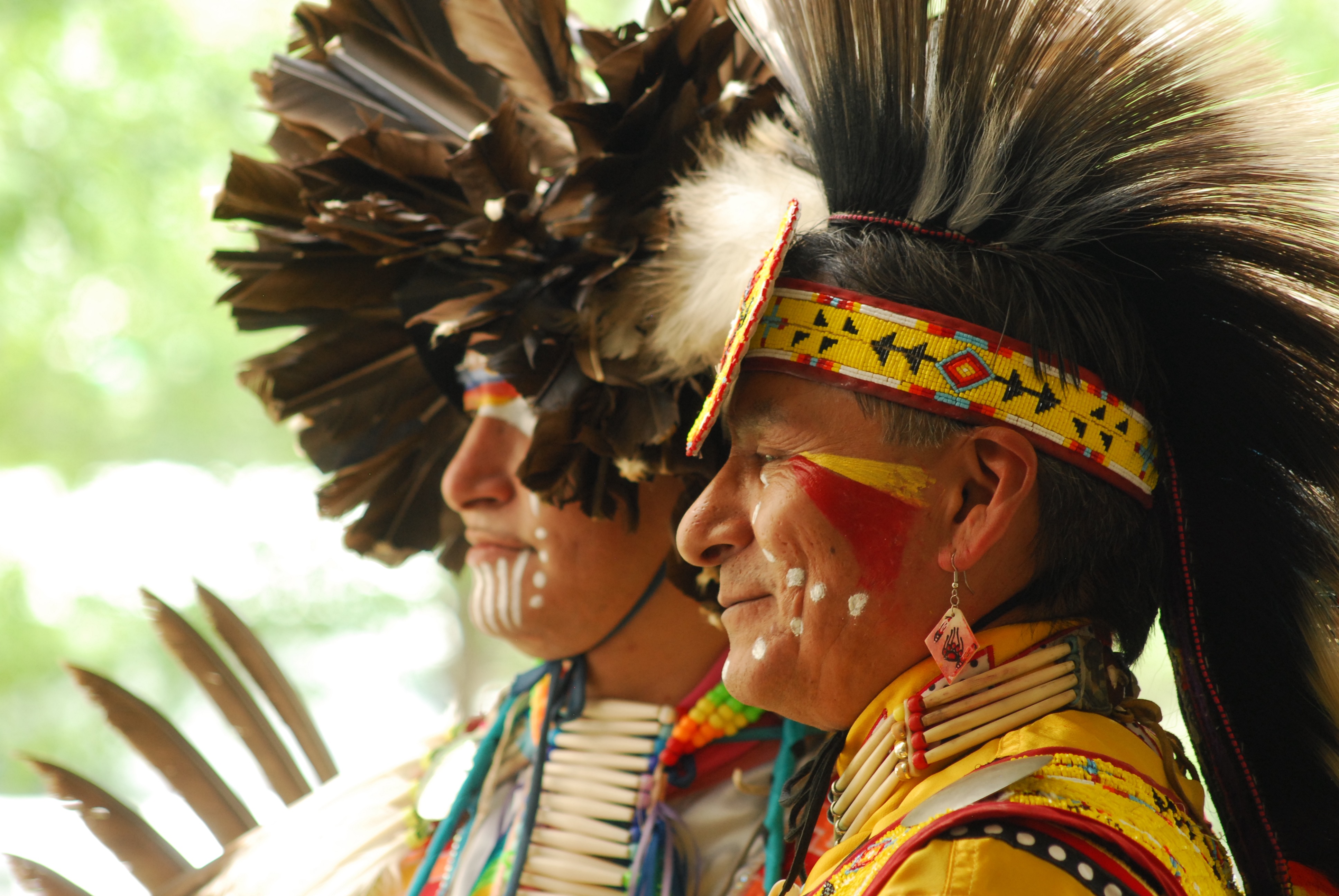 Declaration On The Rights Of Indigenous Peoples Action Plan